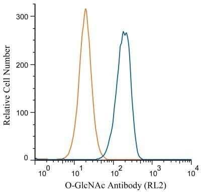 Flow Cytometry: O-GlcNAc Antibody (RL2) - Azide and BSA Free [NBP2-80892] - Analysis using Alexa Fluor (R) 647 conjugate of NB300-524. An intracellular stain was performed on Jurkat cells with O-GlcNAc antibody (RL2) NB300-524 (blue) and a matched isotype control NBP2-27287 (orange). Cells were fixed with 4% PFA and then permeablized with 0.1% saponin. 1 ug of antibody was added to 100 uL of staining buffer and cells were incubated for 30 minutes at room temperature. Both antibodies were directly conjugated to Alexa Fluor 647.