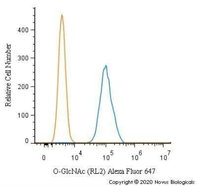 Flow (Intracellular): O-GlcNAc Antibody (RL2) - Azide and BSA Free [NBP2-80892] - An intracellular stain was performed on RH30 cells with O-GlcNAc [RL2] Antibody NB300-524AF647 (blue) and a matched isotype control (orange). Cells were fixed with 4% PFA and then permeabilized with 0.1% saponin. Cells were incubated in an antibody dilution of 2.5 ug/mL for 30 minutes at room temperature. Both antibodies were directly conjugated to Alexa Fluor 647.