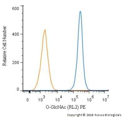 Flow Cytometry: O-GlcNAc Antibody (RL2) [NB300-524] - An intracellular stain was performed on Jurkat cells with O-GlcNAc antibody (RL2) NB300-524PE (blue) and a matched isotype control. Cells were fixed with 4% PFA and then permeablized with 0.1% saponin. Cells were incubated in an antibody dilution of 2.5 ug/mL for 30 minutes at room temperature . Both antibodies were conjugated to Phycoerythrin.