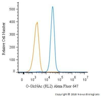 Flow Cytometry: O-GlcNAc Antibody (RL2) [NB300-524] - An intracellular stain was performed on SK-MEL-28 cells with O-GlcNAc antibody (RL2) NB300-524AF647 (blue) and a matched isotype control. Cells were fixed with 4% PFA and then permeablized with 0.1% saponin. Cells were incubated in an antibody dilution of 2.5 ug/mL for 30 minutes at room temperature . Both antibodies were conjugated to Alexa Fluor 647.