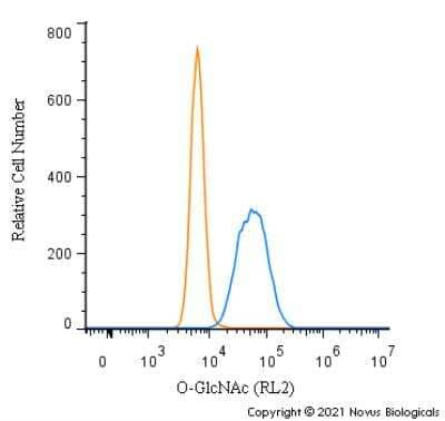 Flow Cytometry: O-GlcNAc Antibody (RL2) [NB300-524] - An intracellular stain was performed on Neuro2a cells with O-GlcNAc Antibody [RL2] NB300-524 (blue) and a matched isotype control (orange). Cells were fixed with 4% PFA and then permeabilized with 0.1% saponin. Cells were incubated in an antibody dilution of 1.0 ug/mL for 30 minutes at room temperature, followed by Mouse IgG (H+L) Cross-Adsorbed Secondary Antibody, Dylight 550 (35503, Thermo Fisher).