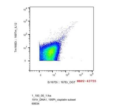 CyTOF-reported: O-GlcNAc Transferase p110 subunit Antibody (2037) [NBP2-43755] - Mouse spleen cells were analyzed using NBP2-43755-167Er at 1:100 and IL12-169Tm at 1:100. CyTOF image submitted by a verified customer review.