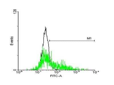 Flow Cytometry: OA1 Antibody [H00004935-B01P] - Analysis of negative control 293 cells (Black) and GPR143 expressing 293 cells (Green) using GPR143 purified mouse polyclonal antibody.