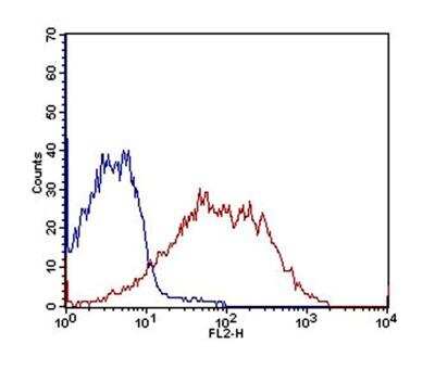 Flow Cytometry: OATP1B3/SLCO1B3/OATP8 Antibody (1E6.2F9) [NBP2-36492] - Validation of OATP1B3/SLCO1B3/OATP8 antibody (clone 1E6.2F9) on Jurkat cells with IgG3 kappa antibody as an isotype control. Primary antibody was used at 2.5ug/ million cells while the goat anti-mouse IgG-PE secondary antibody was employed at 0.5ug/million cells concentration.