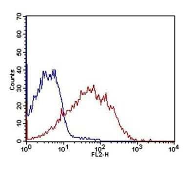 Flow Cytometry: OATP1B3/SLCO1B3/OATP8 Antibody (1F6.1B1) - Azide and BSA Free [NBP2-80889] - Validation of OATP1B3/SLCO1B3/OATP8 antibody (clone 1F6.1B1) on Jurkat cells with IgG3 kappa antibody as an isotype control. Primary antibody was used at 2.5ug/ million cells while the goat anti-mouse IgG-PE secondary antibody was employed at 0.5 ug/million cells concentration. Image from the standard format of this antibody.