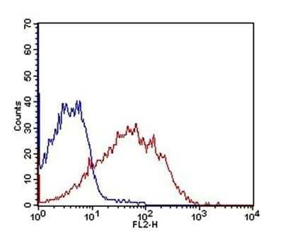 Flow Cytometry: OATP1B3/SLCO1B3/OATP8 Antibody (1F6.1B1) [NBP2-36493] - Validation of OATP1B3/SLCO1B3/OATP8 antibody (clone 1F6.1B1) on Jurkat cells with IgG3 kappa antibody as an isotype control. Primary antibody was used at 2.5ug/ million cells while the goat anti-mouse IgG-PE secondary antibody was employed at 0.5 ug/million cells concentration.
