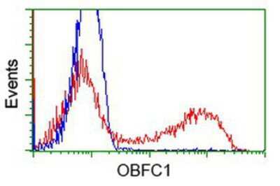 Flow Cytometry OBFC1 Antibody (OTI2E4)