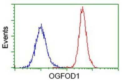 Flow Cytometry: OGFOD1 Antibody (OTI1D9) - Azide and BSA Free [NBP2-73145] - Analysis of Hela cells, using anti-OGFOD1 antibody, (Red), compared to a nonspecific negative control antibody (Blue).