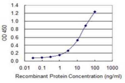 Sandwich ELISA: OIP5 Antibody (3G10-1D5) [H00011339-M01] - Detection limit for recombinant GST tagged OIP5 is 0.3 ng/ml as a capture antibody.