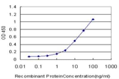 ELISA: OPHN1 Antibody (2B9) [H00004983-M03] - Detection limit for recombinant GST tagged OPHN1 is approximately 0.3ng/ml as a capture antibody.