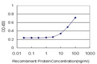 Sandwich ELISA: ORL1/OPRL1 Antibody (2A11) [H00004987-M02] - Detection limit for recombinant GST tagged OPRL1 is approximately 3ng/ml as a capture antibody.