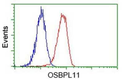 Flow Cytometry: OSBPL11 Antibody (6A6) [NBP2-03327] - Analysis of Hela cells, using anti-OSBPL11 antibody, (Red), compared to a nonspecific negative control antibody (Blue).