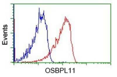 Flow Cytometry: OSBPL11 Antibody (OTI6A6) - Azide and BSA Free [NBP2-73160] - Analysis of Jurkat cells, using anti-OSBPL11 antibody, (Red), compared to a nonspecific negative control antibody (Blue).