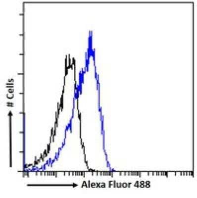 Flow Cytometry OSBPL5 Antibody