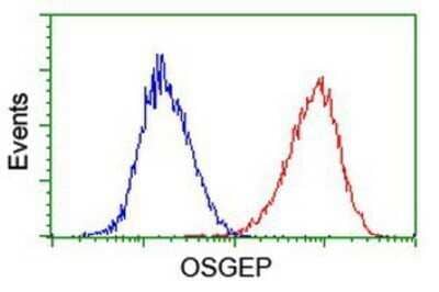 Flow Cytometry: OSGEP Antibody (OTI9E3) - Azide and BSA Free [NBP2-73163] - Analysis of Hela cells, using anti-OSGEP antibody, (Red), compared to a nonspecific negative control antibody (Blue).