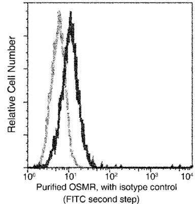 Flow Cytometry: OSMR beta Antibody (002) [NBP2-89850] - Analysis of Human OSMR expression on HeLa cells. Cells were stained with purified anti-Human OSMR, then a FITC-conjugated second step antibody. The histogram were derived from gated events with the forward and side light-scatter characteristics of intact cells.