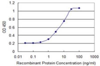 Sandwich ELISA: OTUD7B/Cezanne/ZA20D1 Antibody (2B4) [H00056957-M01] - Detection limit for recombinant GST tagged OTUD7B is 0.3 ng/ml as a capture antibody.