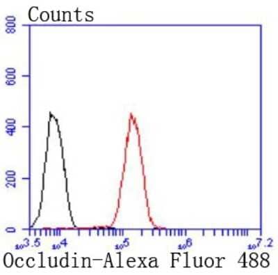 Flow Cytometry: Occludin Antibody (JJ091-08) [NBP2-67902] - Analysis of 293 cells with Occludin antibody at 1/50 dilution (red) compared with an unlabelled control (cells without incubation with primary antibody; black). Alexa Fluor 488-conjugated goat anti rabbit IgG was used as the secondary antibody.