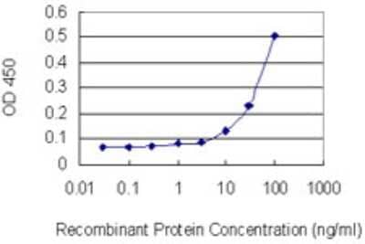 Sandwich ELISA: Olfactomedin-1/Noelin-1 Antibody (2E9-1A2) [H00010439-M02] - Detection limit for recombinant GST tagged OLFM1 is 3 ng/ml as a capture antibody.