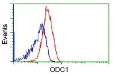 Flow Cytometry: Ornithine Decarboxylase Antibody (1G6) [NBP2-02644] - Analysis of Jurkat cells, using anti-Ornithine Decarboxylase antibody, (Red), compared to a nonspecific negative control antibody (Blue).