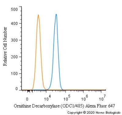 Flow Cytometry: Ornithine Decarboxylase Antibody (ODC1/485) [Alexa Fluor® 647] [NBP2-34700AF647] - An intracellular stain was performed on RH30 cells with Ornithine Decarboxylase [ODC1/485] Antibody NBP2-34700AF647 (blue) and a matched isotype control (orange). Cells were fixed with 4% PFA and then permeabilized with 0.1% saponin. Cells were incubated in an antibody dilution of 2.5 ug/mL for 30 minutes at room temperature. Both antibodies were conjugated to Alexa Fluor 647.