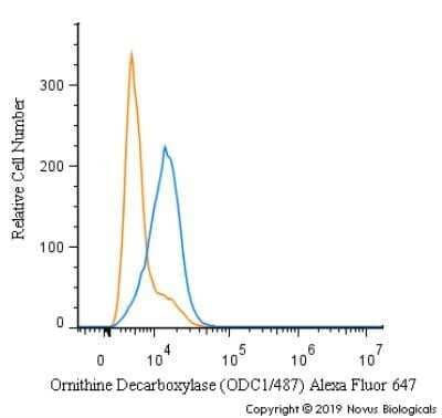 Flow Cytometry: Ornithine Decarboxylase Antibody (ODC1/487) [NBP2-44735] - An intracellular stain was performed on K562 cells with Ornithine Decarboxylase [ODC1/487] Antibody NBP2-47837AF647 (blue) and a matched isotype control (orange). Cells were fixed with 4% PFA and then permeabilized with 0.1% saponin. Cells were incubated in an antibody dilution of 2.5 ug/mL for 30 minutes at room temperature. Both antibodies were conjugated to Alexa Fluor 647.