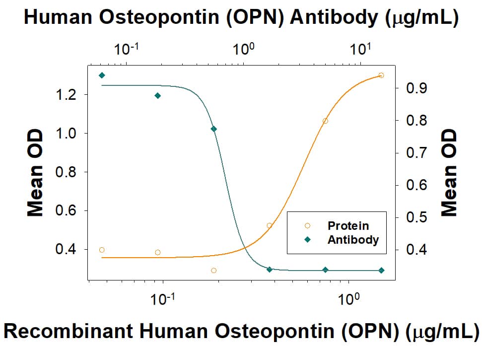 Recombinant Human Osteopontin/OPN (Catalog # 1433-OP), immobilized onto a microplate, supports the adhesion of the HEK293 human embryonic kidney cell line in a dose-dependent manner (orange line). Adhesion elicited by Recombinant Human Osteopontin/OPN (1 µg/mL) is neutralized (green line) by increasing concentrations of Goat Anti-Human Osteopontin/OPN Antigen Affinity-purified Polyclonal Antibody (Catalog # AF1433). The ND50 is typically 0.300 - 3.60 µg/mL.