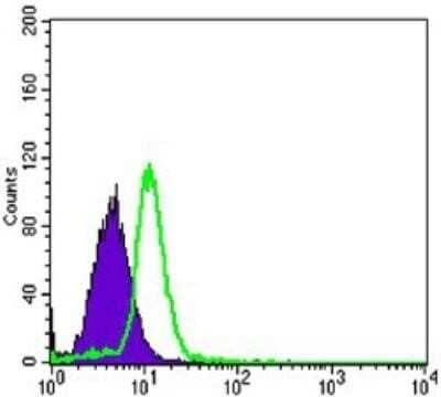 Flow Cytometry: Osteoprotegerin/TNFRSF11B Antibody (5G2) [NBP1-51670] - Flow cytometric analysis of HL-60 cells using TNFRSF11B mouse mAb (green) and negative control (purple).
