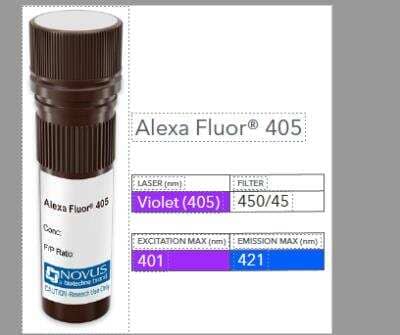 Osteoprotegerin/TNFRSF11B Antibody (98A1071) [Alexa Fluor® 405] [NB100-56505AF405] - Vial of Alexa Fluor (R) 405 conjugated antibody. Alexa Fluor (R) 405 is optimally excited at 401 nm by the 450/45 laser (Violet(405 nm) and has an emission maximum of 421 nm. 