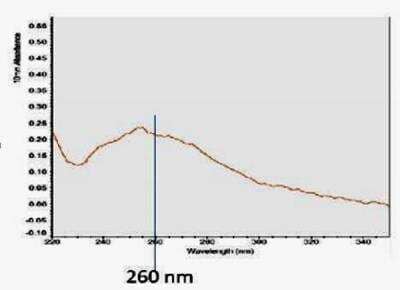 Overall Exosome Capture and RNA Extraction (Biofluids, Cell Media) Kit [NBP2-49784] - Expected Nanodrop profile for RNA extracted from immunocaptured exosomes (100 ul of human plasma). Yield = 8.4 ng/ul; A260/280 =1.6; A260/230= 1.85