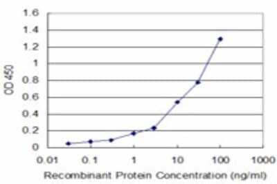 Sandwich ELISA: P2X5/P2RX5 Antibody (1C5) [H00005026-M01] - Detection limit for recombinant GST tagged P2RX5 is approximately 1ng/ml as a capture antibody.