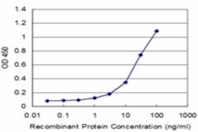 ELISA: P2Y1/P2RY1 Antibody (4C2) [H00005028-M01] - Detection limit for recombinant GST tagged P2RY1 is approximately 1ng/ml as a capture antibody.