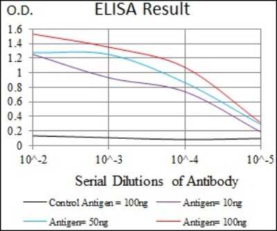 ELISA: P2Y13/P2RY13/GPR86 Antibody (2H1G9) [NBP2-37382] - Red: Control Antigen (100ng); Purple: Antigen (10ng); Green: Antigen (50ng); Blue: Antigen (100ng);