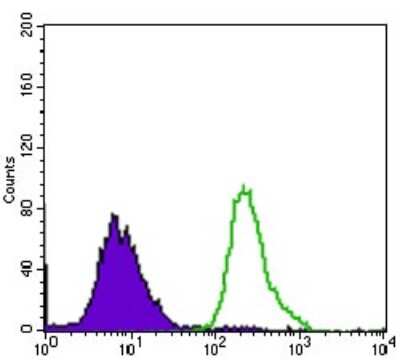 Flow Cytometry: P2Y13/P2RY13/GPR86 Antibody (2H1G9) [NBP2-37382] - Flow cytometric analysis of HepG2 cells using P2RY13 mouse mAb (green) and negative control (purple).