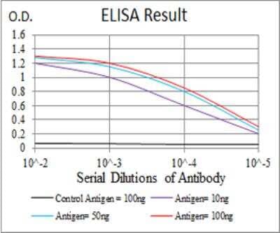 ELISA: P2Y13/P2RY13/GPR86 Antibody (6G12E10) [NBP2-52526] - Figure 1:Black line: Control Antigen (100 ng);Purple line: Antigen(10ng);Blue line: Antigen (50 ng);Red line: Antigen (100 ng);