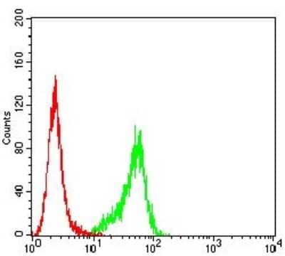 Flow Cytometry: P2Y14/GPR105 Antibody (8A11B11) [NBP2-61754] - Analysis of Hela cells using P2RY14 mouse mAb (green) and negative control (red).