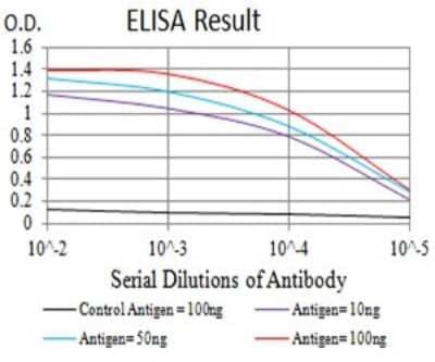 ELISA: P2Y4/P2RY4 Antibody (3B4C11) [NBP2-61759] - Black line: Control Antigen (100 ng);Purple line: Antigen (10ng); Blue line: Antigen (50 ng); Red line:Antigen (100 ng)