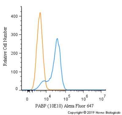 Flow Cytometry: PABP Antibody (10E10) [Alexa Fluor® 647] [NB120-6125AF647] - An intracellular stain was performed on A431 cells with PABP [10E10] Antibody NB120-6125AF647 (blue) and a matched isotype control (orange). Cells were fixed with 4% PFA and then permeabilized with 0.1% saponin. Cells were incubated in an antibody dilution of 2.5 ug/mL for 30 minutes at room temperature. Both antibodies were conjugated to Alexa Fluor 647.