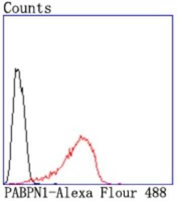 Flow Cytometry: PABPN1 Antibody (JM11-28) [NBP2-67015] - Analysis of Hela cells with PABPN1 antibody at 1/50 dilution (red) compared with an unlabelled control (cells without incubation with primary antibody; black). Alexa Fluor 488-conjugated goat anti rabbit IgG was used as the secondary antibody.