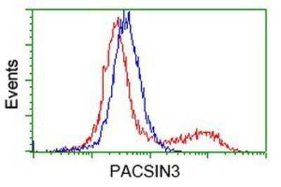 Flow Cytometry: PACSIN3 Antibody (OTI2A3) - Azide and BSA Free [NBP2-73223] - HEK293T cells transfected with either overexpression plasmid (Red) or empty vector control plasmid (Blue) were immunostaining by anti-PACSIN3 antibody, and then analyzed by flow cytometry.
