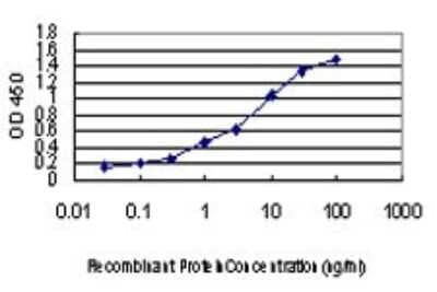 Sandwich ELISA: PAFAH1B3 Antibody (8C11) [H00005050-M02] - Detection limit for recombinant GST tagged PAFAH1B3 is approximately 0.1ng/ml as a capture antibody.