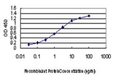 Sandwich ELISA: PAK1 Antibody (1E11) [H00005058-M01] - Detection limit for recombinant GST tagged PAK1 is approximately 0.03ng/ml as a capture antibody.