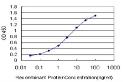 ELISA PALM2 Antibody (1A8) - Azide and BSA Free
