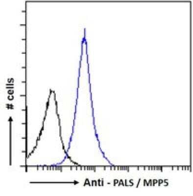 Flow Cytometry: PALS1/MPP5 Antibody [NB300-952] - Flow cytometric analysis of paraformaldehyde fixed HeLa cells (blue line), permeabilized with 0.5% Triton. Primary incubation 1hr (10 ug/mL) followed by Alexa Fluor 488 secondary antibody (1 ug/mL). IgG control: Unimmunized goat IgG (black line) followed by Alexa Fluor 488 secondary antibody.