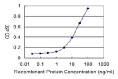Sandwich ELISA: PANK4 Antibody (2A11) [H00055229-M07] - Detection limit for recombinant GST tagged PANK4 is 0.3 ng/ml as a capture antibody.