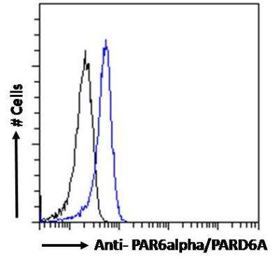 Flow Cytometry: PARD6A Antibody [NB300-953] - Analysis of paraformaldehyde fixed Jurkat cells (blue line), permeabilized with 0.5% Triton. Primary incubation 1hr (10ug/ml) followed by Alexa Fluor 488 secondary antibody (1ug/ml). IgG control: Unimmunized goat IgG (black line) followed by Alexa Fluor 488 secondary antibody.