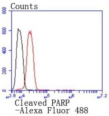 Flow Cytometry: PARP Antibody (SU0314) [NBP2-67454] - Analysis of Hela cells with PARP antibody at 1/50 dilution (red) compared with an unlabelled control (cells without incubation with primary antibody; black). Alexa Fluor 488-conjugated goat anti rabbit IgG was used as the secondary antibody