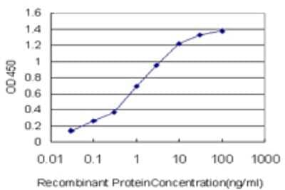 Sandwich ELISA: PASK Antibody (6D10) [H00023178-M01] - Detection limit for recombinant GST tagged PASK is approximately 0.03ng/ml as a capture antibody.