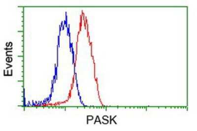Flow Cytometry: PASK Antibody (8G9) [NBP2-02242] - Analysis of Jurkat cells, using anti-PASK antibody, (Red), compared to a nonspecific negative control antibody (Blue).