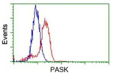 Flow Cytometry: PASK Antibody (OTI8G9) - Azide and BSA Free [NBP2-73249] - Analysis of Hela cells, using anti-PASK antibody, (Red), compared to a nonspecific negative control antibody (Blue).